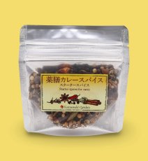 画像1: 【スパイスカレーのスタータースパイス】薬膳カレースパイス 30g(袋) (1)