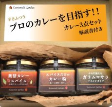 画像1: 【辛さふつう】プロのカレーを目指す！カレー３点セット 解説書付き (1)