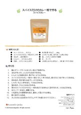 画像2: 【食品添加物・小麦粉不使用・自然のスパイスのみ】スパイスだけのカレー粉 90g 袋 (2)