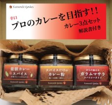 画像1: 【辛口】プロのカレーを目指す！カレー３点セット 解説書付き (1)