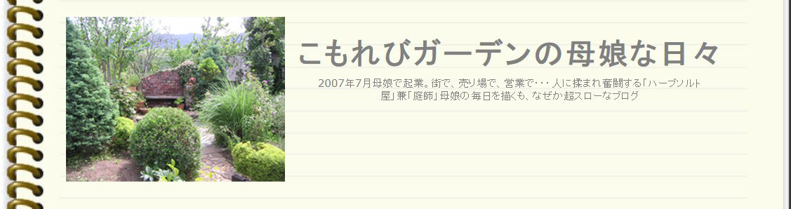 食品添加物・小麦粉不使用・自然のスパイスのみ】スパイスだけのカレー粉