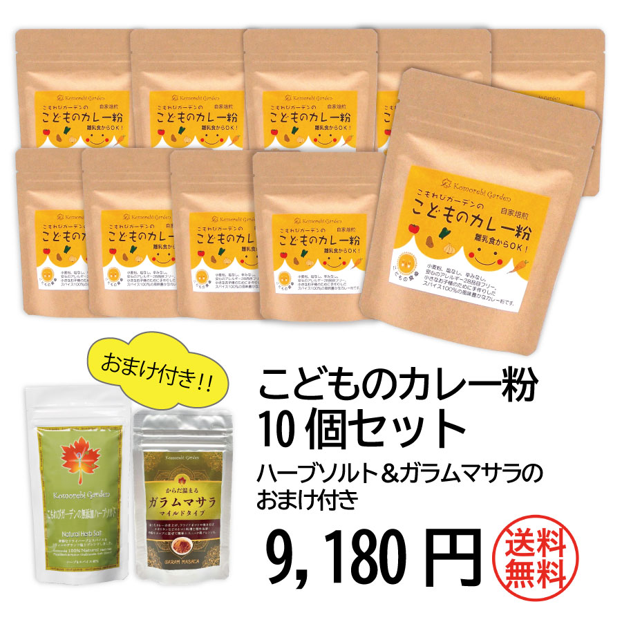 【送料無料+セット割引 】こどものカレー粉 (90g袋 10個セット)